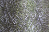 Beansburn fibreglass roof work